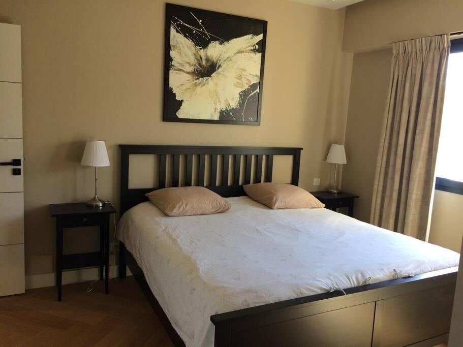 Lovely Refurbished Apartment Nice Eksteriør bilde